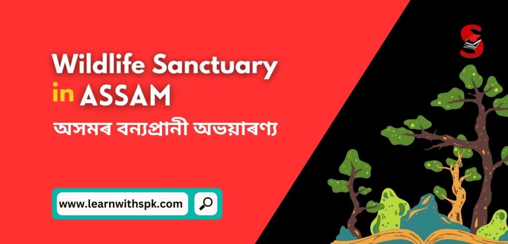 List of Wildlife Sanctuary in Assam